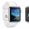 Apple和Fitbit的数据显示 智能手表将成为赢家通吃的市场